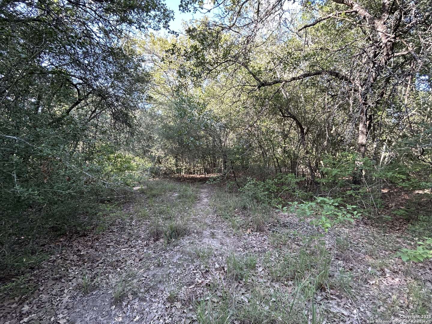 La Vernia, TX 78121,175 Smith