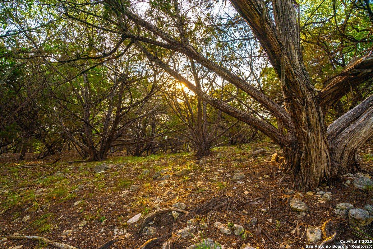 Boerne, TX 78006,103 Bella Springs Rd