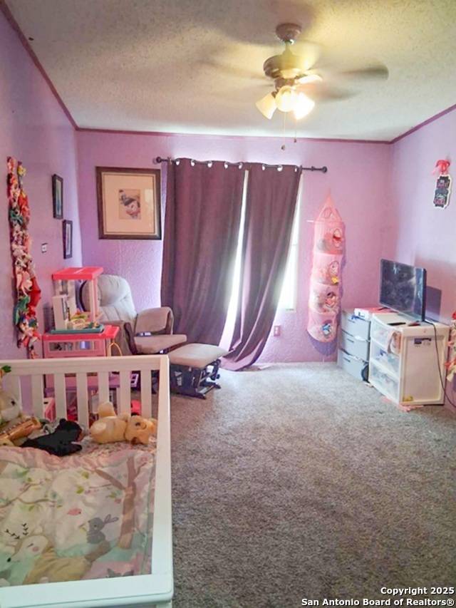 Elmendorf, TX 78112,23227 Skila