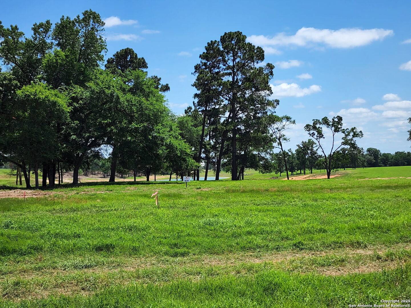 Centerville, TX 75833,LOT 15 Three Lakes Ranch