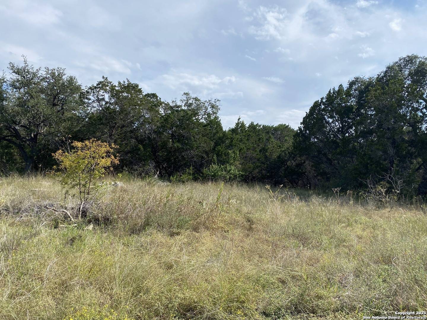 Spring Branch, TX 78070,296 Recreation