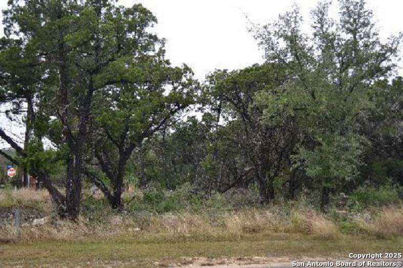 San Antonio, TX 78255,20003 Terra Canyon
