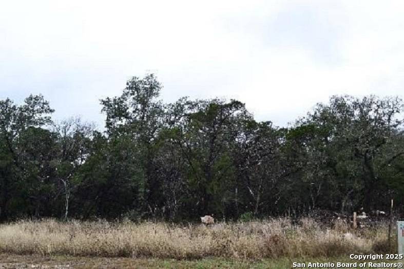 San Antonio, TX 78255,20003 Terra Canyon