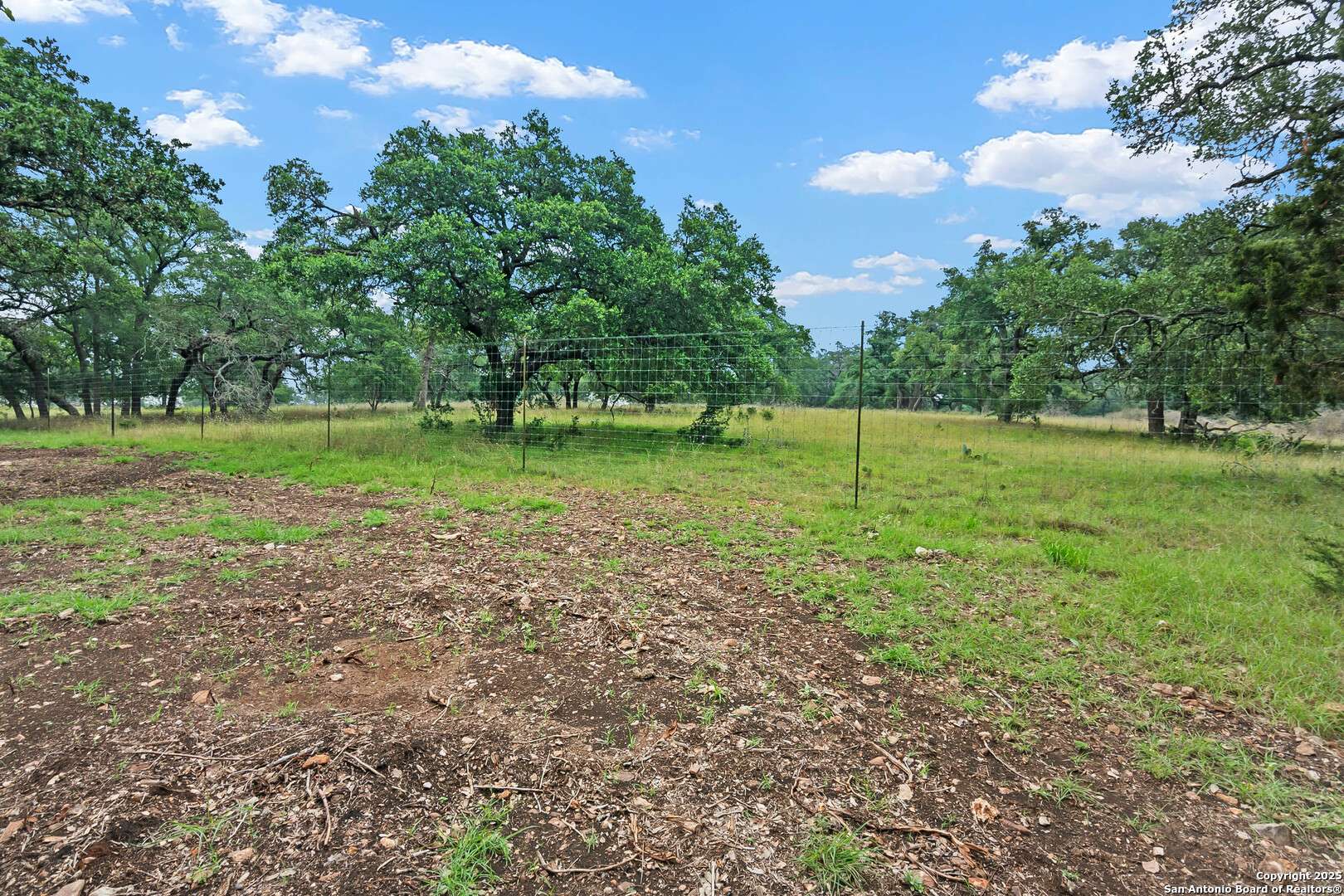 New Braunfels, TX 78132,355 Curvatura