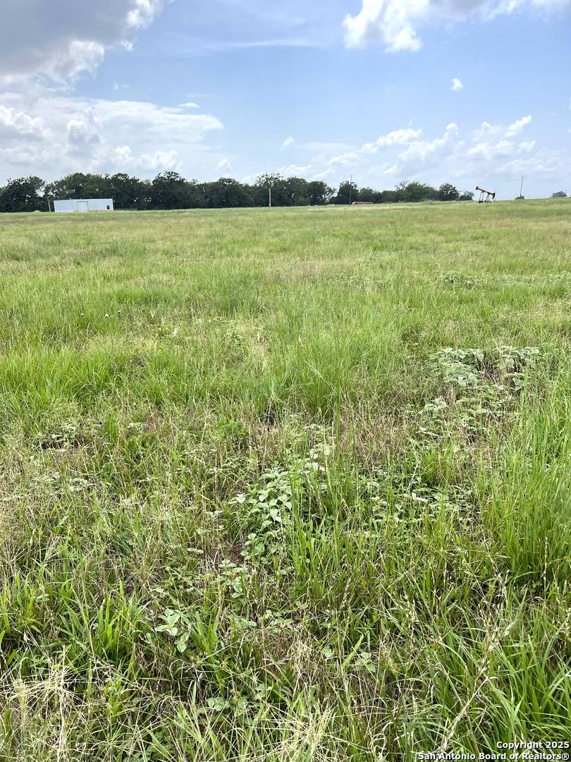 Kingsbury, TX 78638,6605 Gander Slough