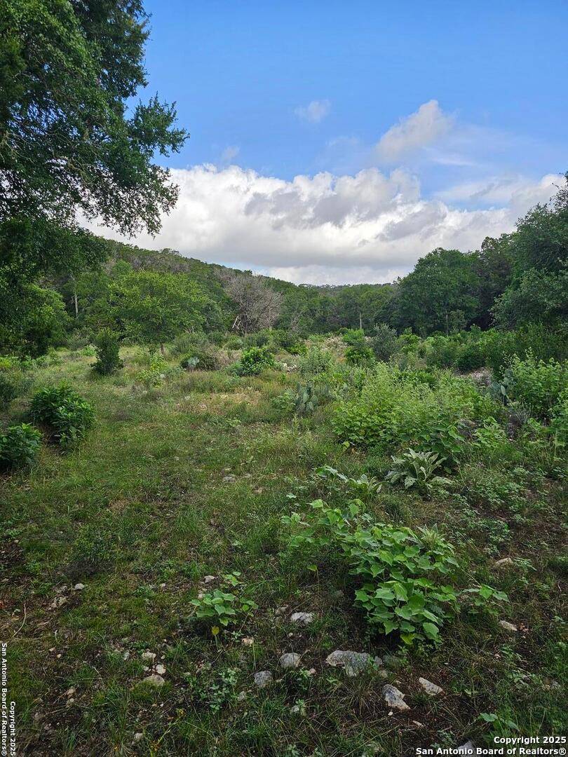 New Braunfels, TX 78132,0 Happy Hollow