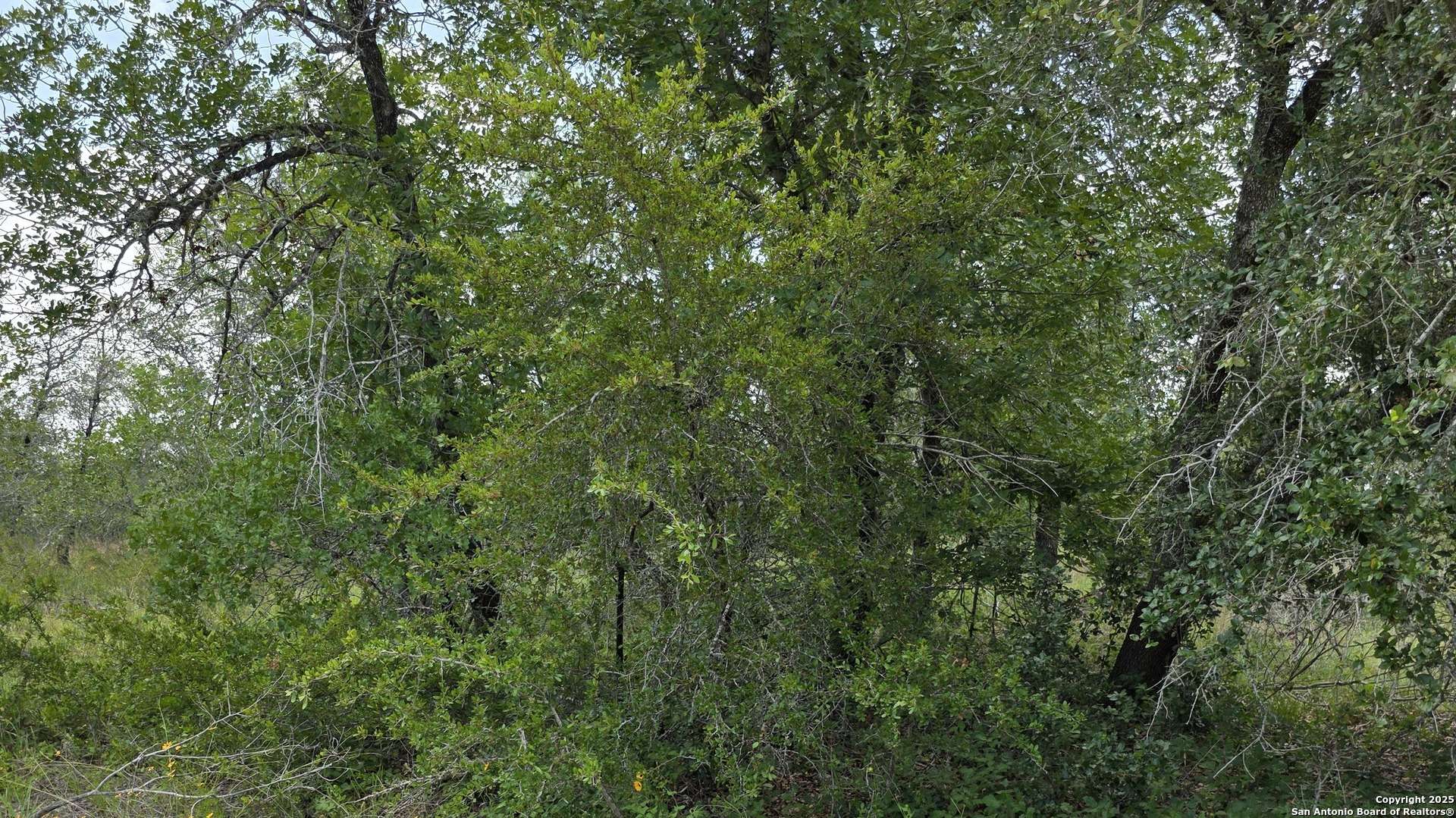 Somerset, TX 78069,LOT 49 Crestway