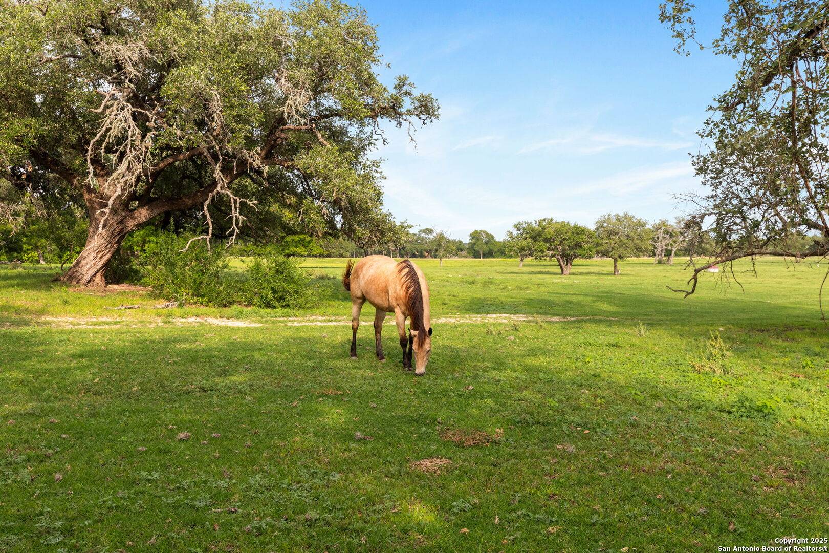 Seguin, TX 78155,TBD Martindale