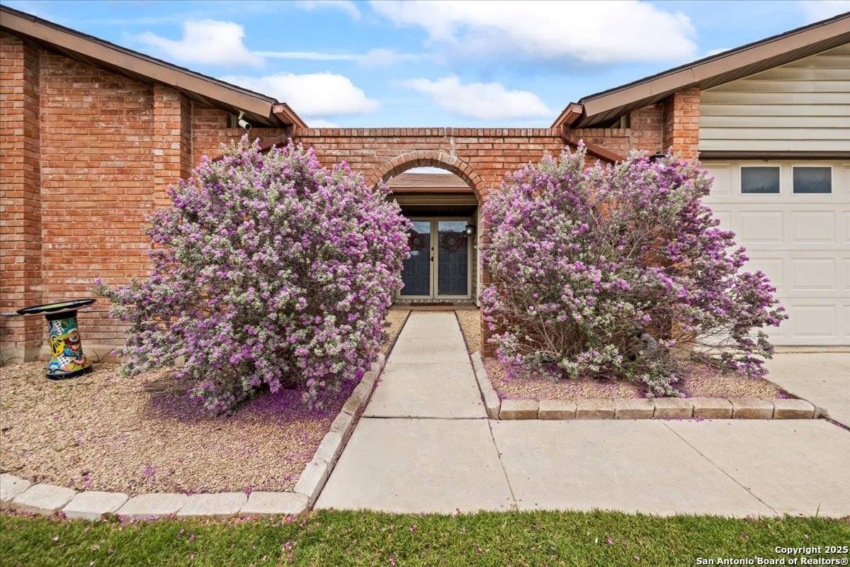 San Antonio, TX 78247,3527 Oakhorne Street