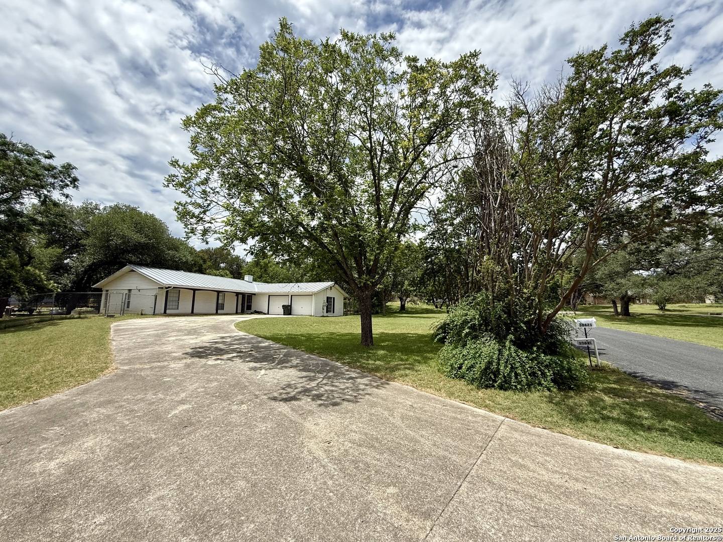 Bulverde, TX 78163,30621 Leopard