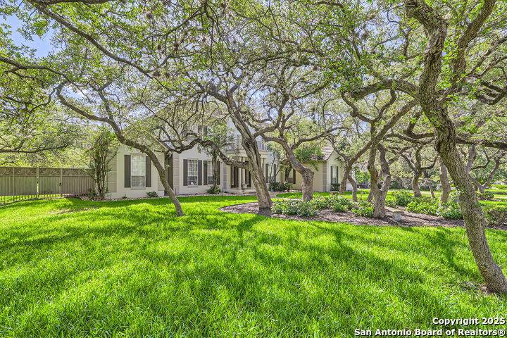 Shavano Park, TX 78230,512 Blackjack Oak