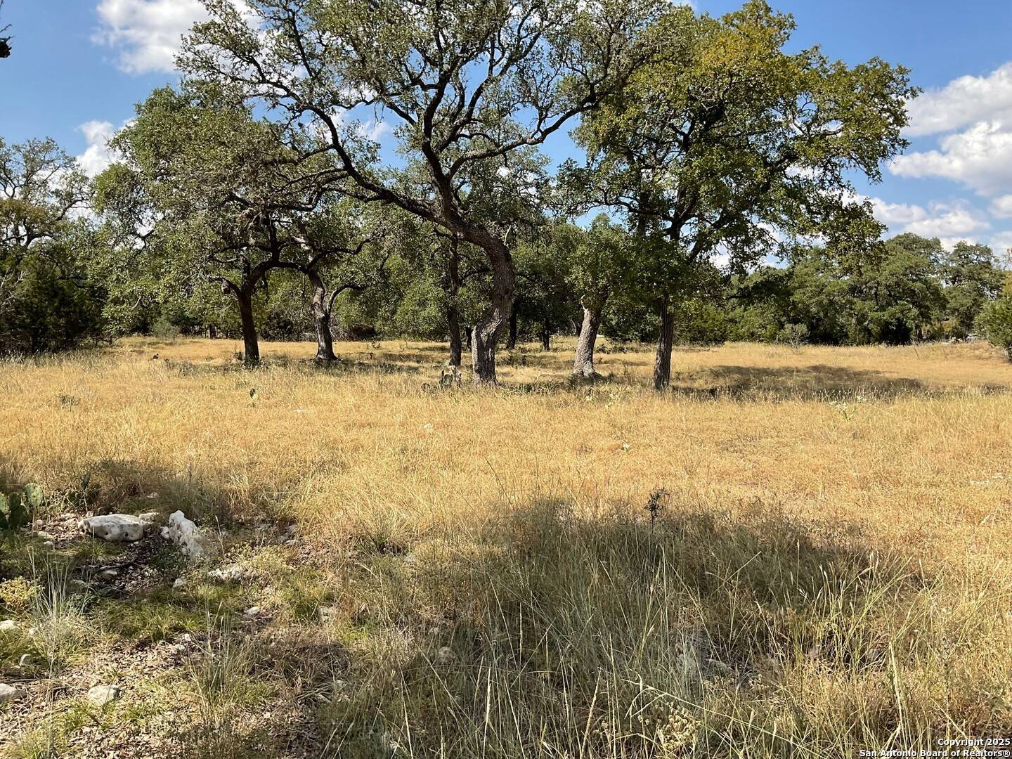 Boerne, TX 78006,1 Vaquero Pass