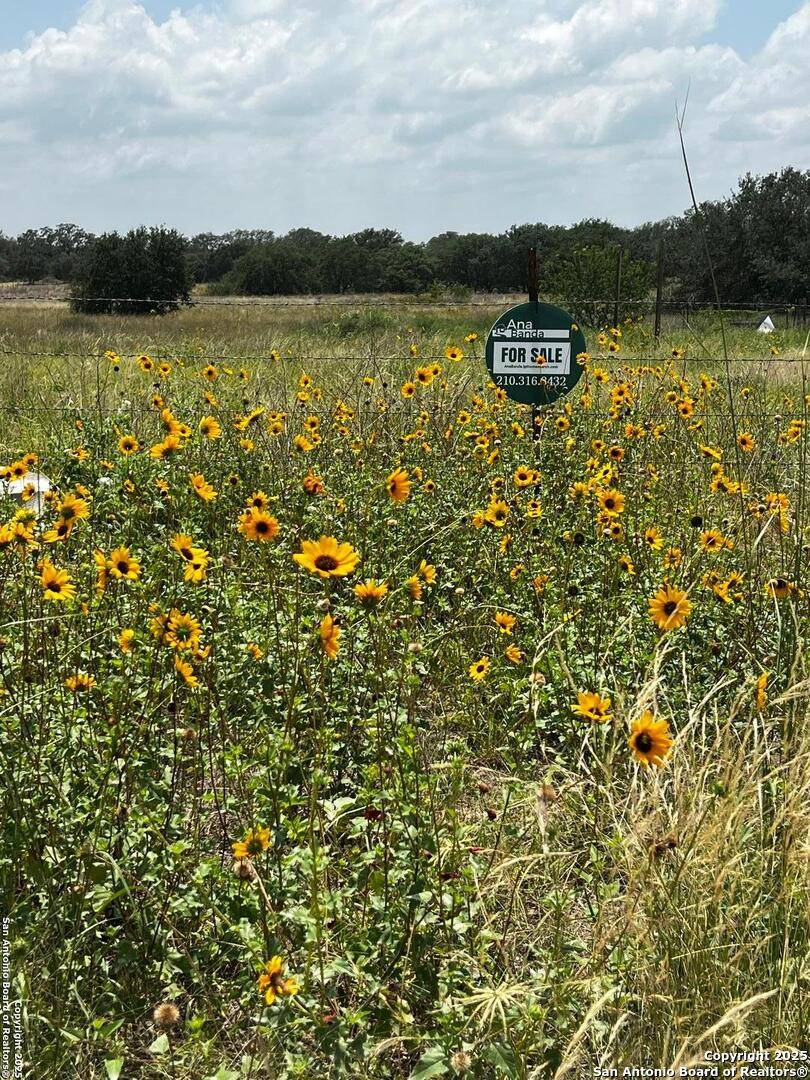 Von Ormy, TX 78073,TBD, LOT 5 Sanctuary Ln