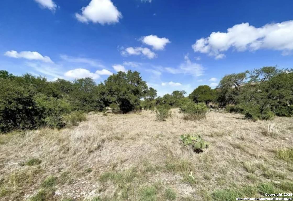 New Braunfels, TX 78132,1245 Vintage Way