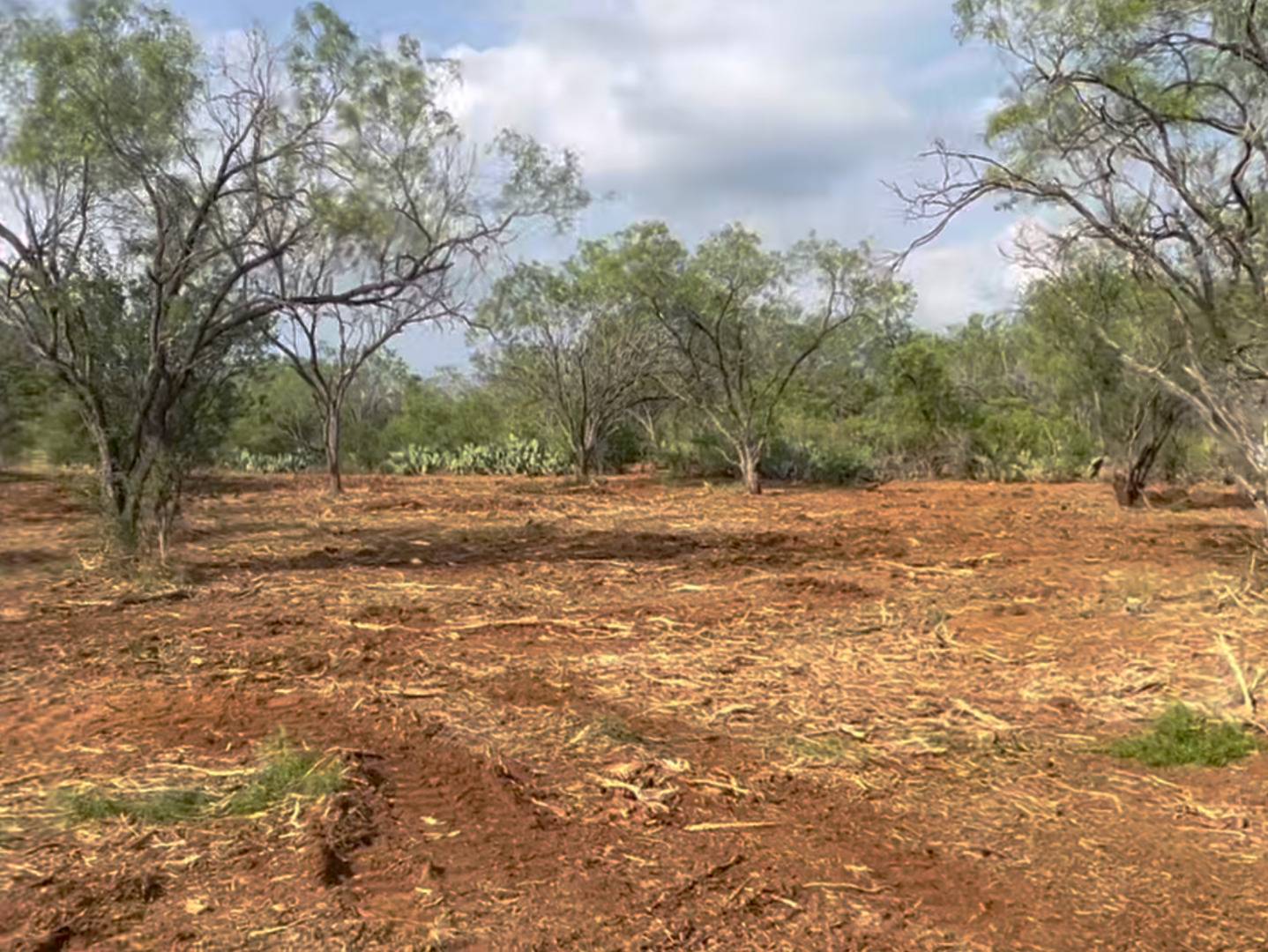 Moore, TX 78057,165 Cr 2644