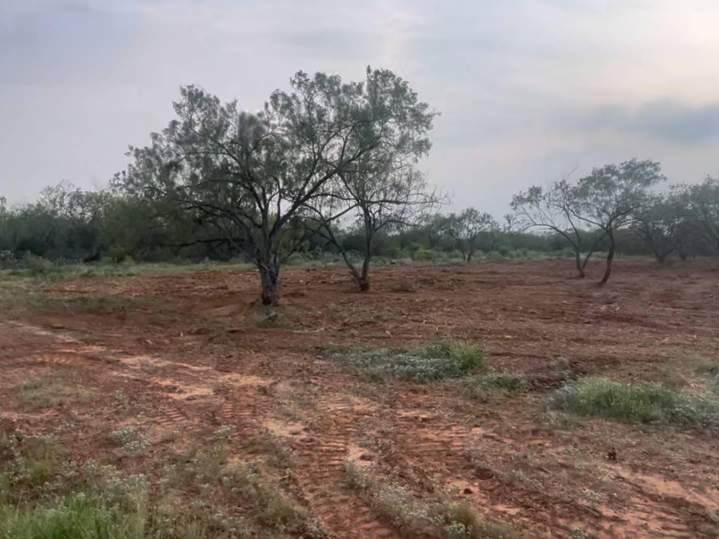 Moore, TX 78057,129 Cr 2644