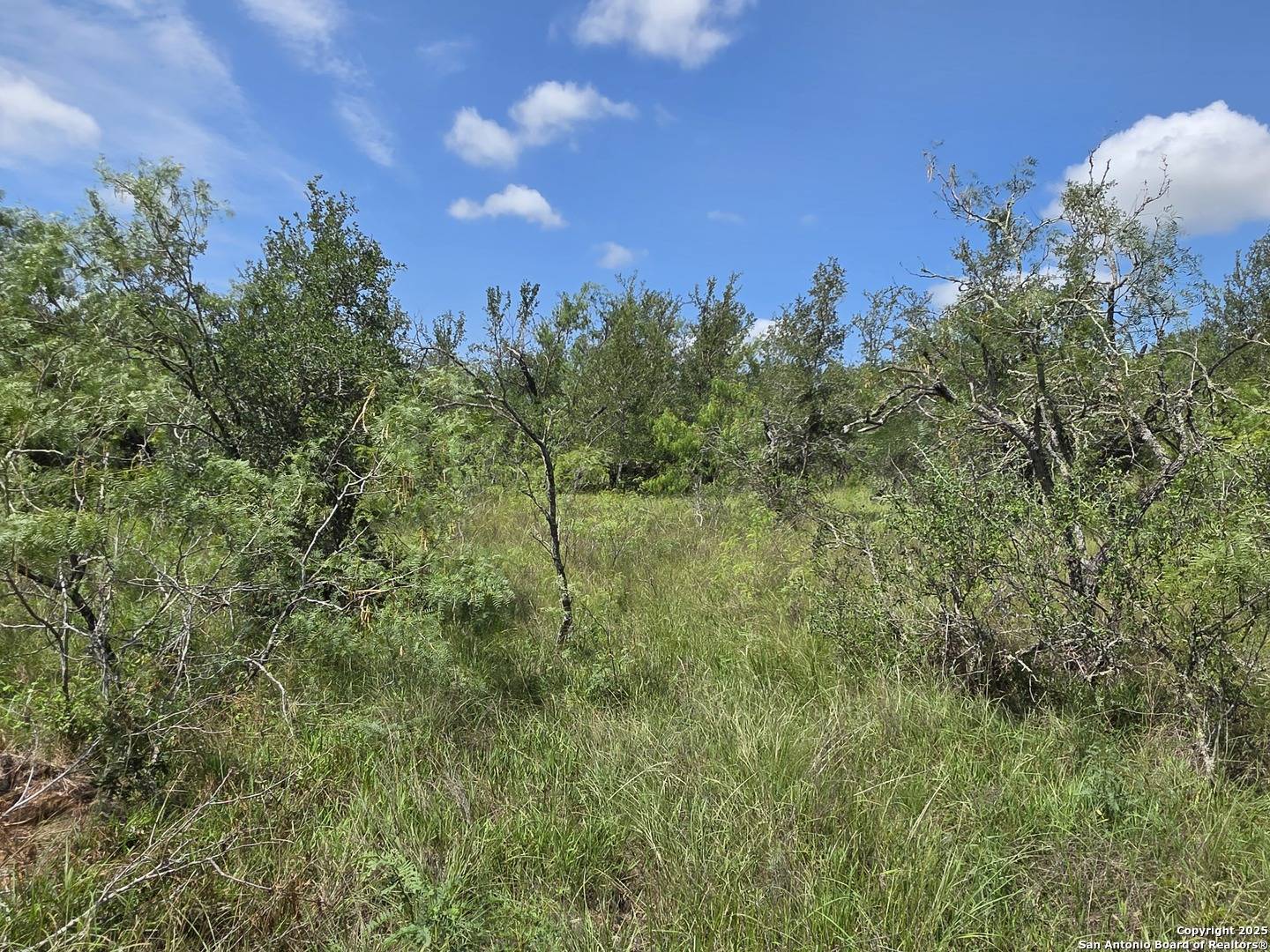 Seguin, TX 78155,675 LOT 6 Marrou Rd.