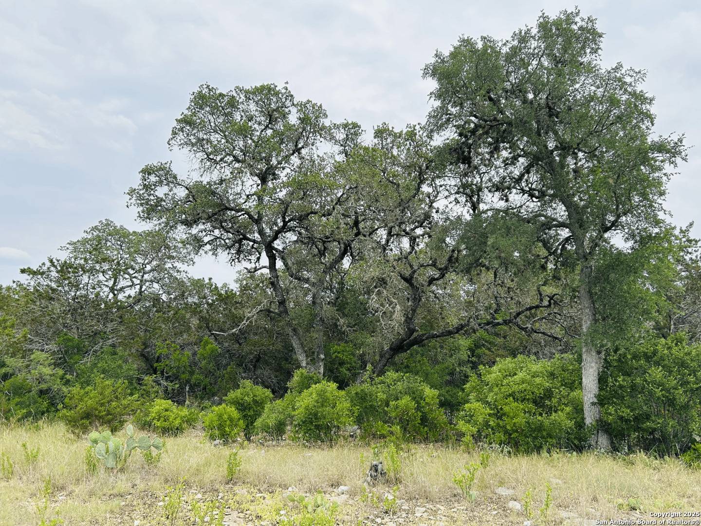 Rio Medina, TX 78066,LOT 20 County Road 2652