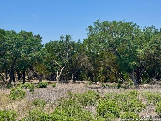 Hunt, TX 78024,134 Live Spring Lane