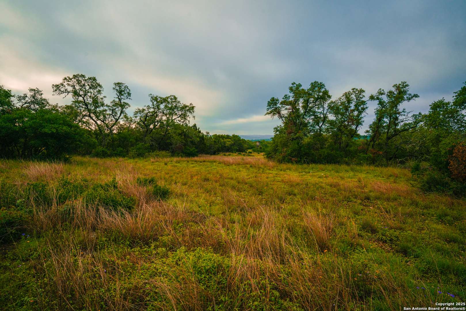 Spring Branch, TX 78070,000 Running Buck