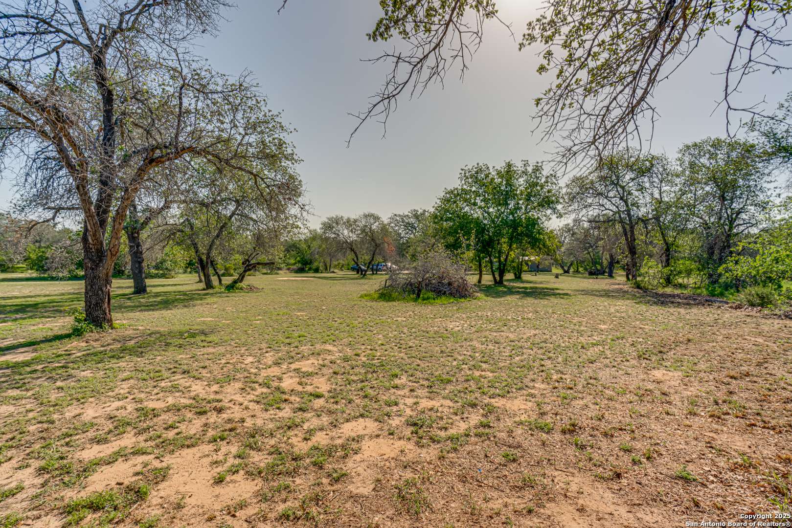 Natalia, TX 78059,204 County Road 7725