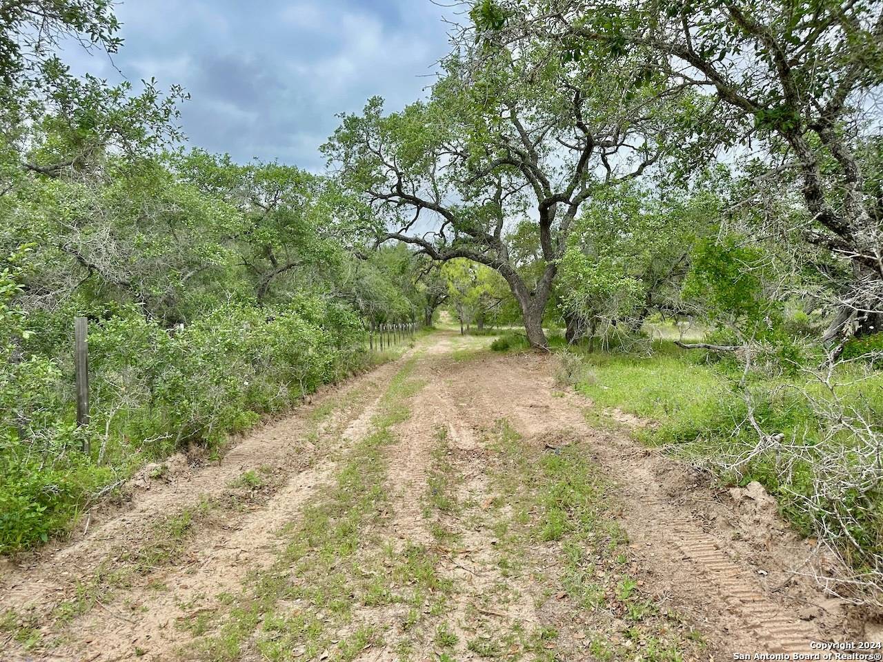 Natalia, TX 78059,191.5 AC CR 770