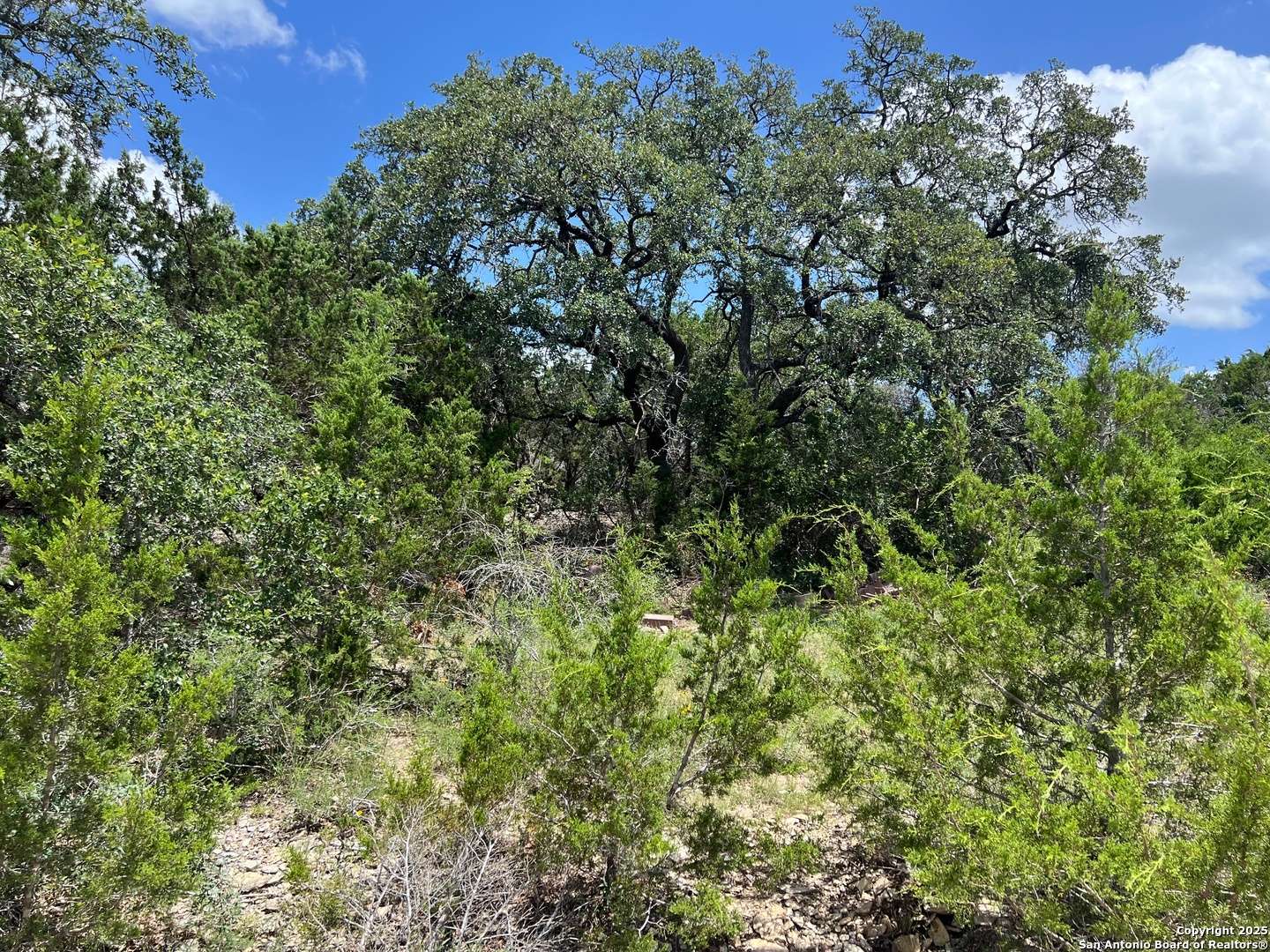 Spring Branch, TX 78070,TBD CHAD WAY