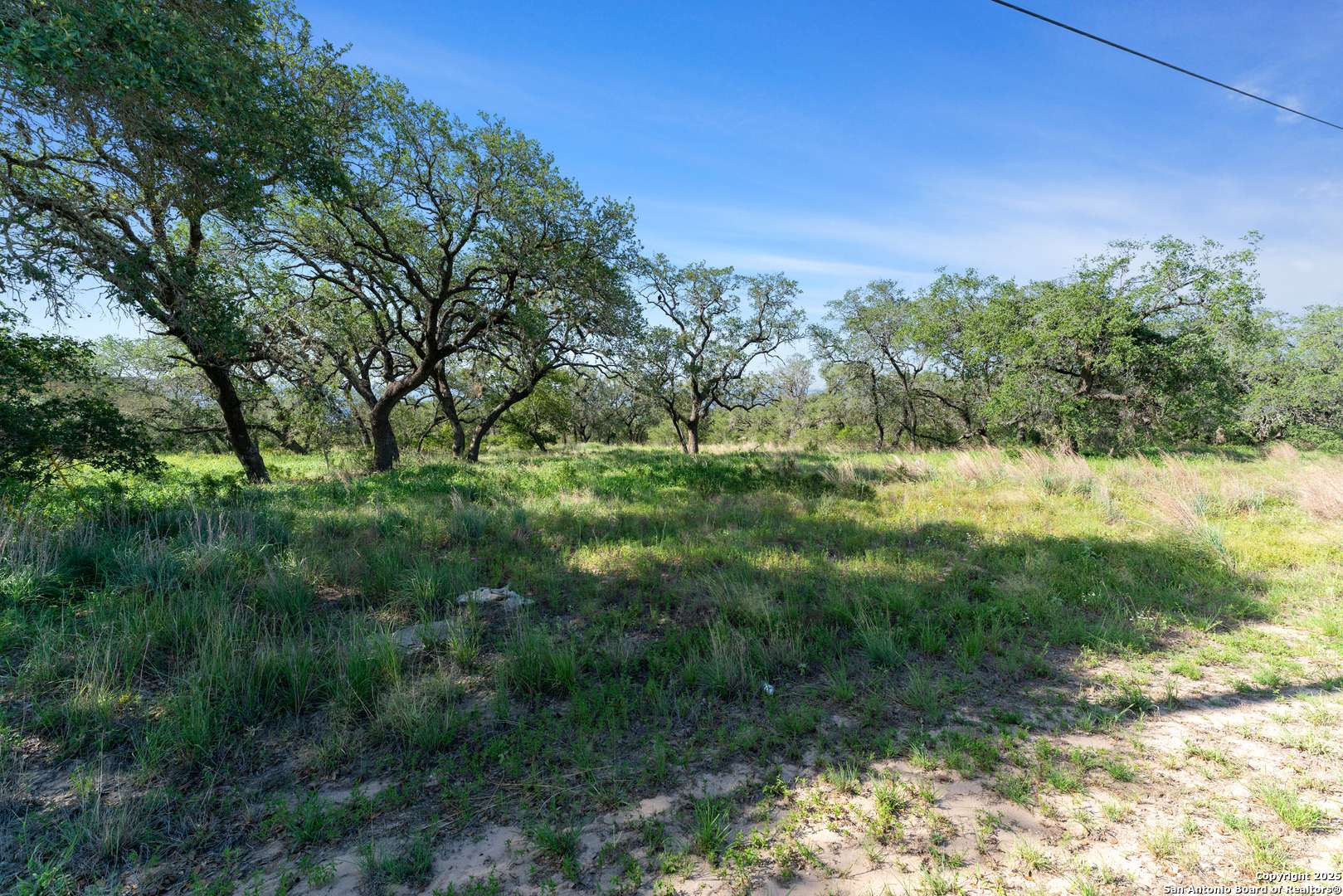 Natalia, TX 78059,163 PALOMINO TRAIL