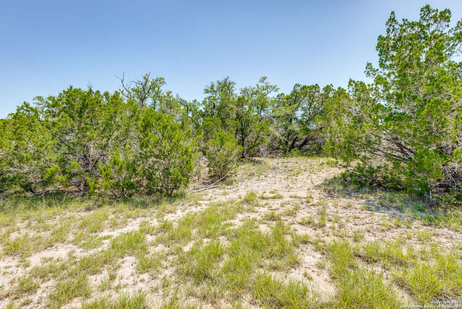 Fischer, TX 78623,125 Patriotic