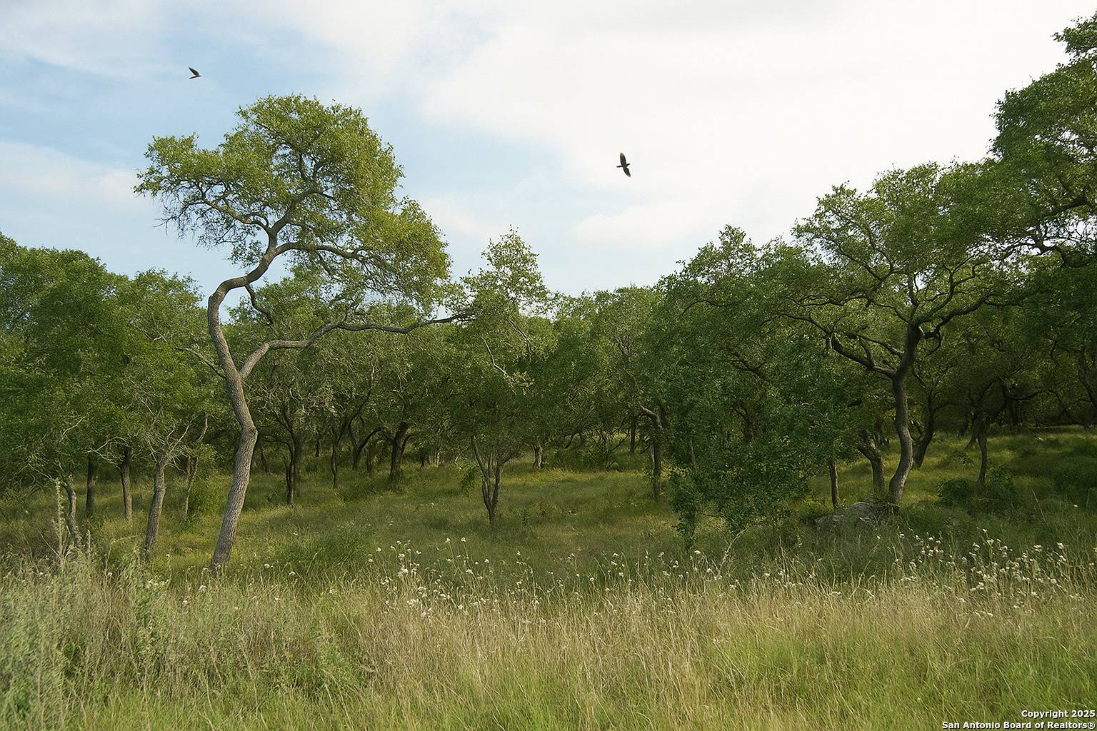 Spring Branch, TX 78070,606 Lantana Mesa