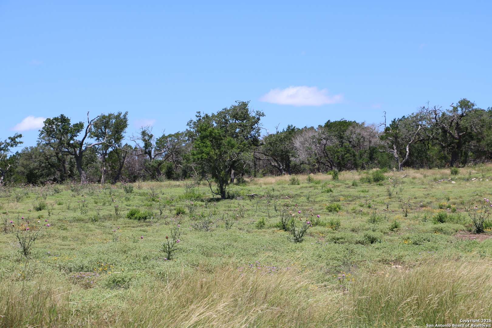 Camp Verde, TX 78010,25 Seep Springs
