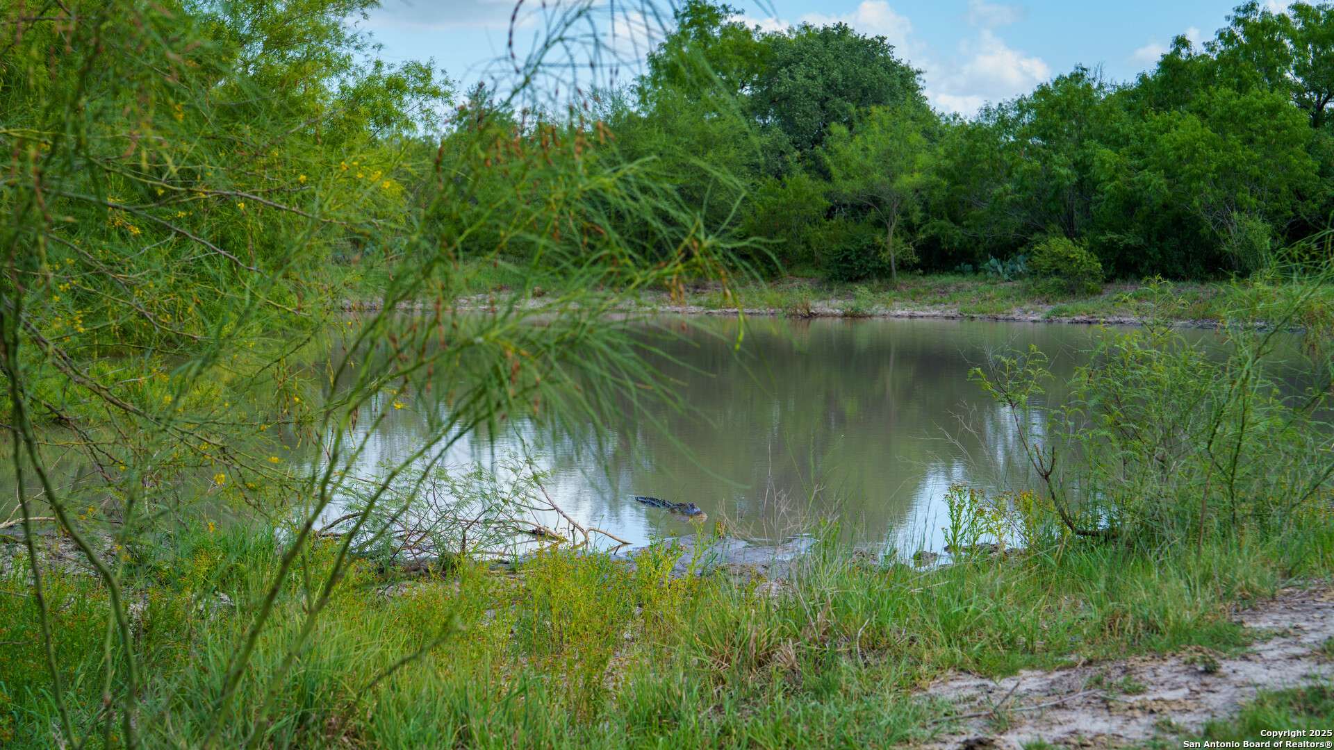 Mccoy, TX 78113,72+/- ACRES CR. 215