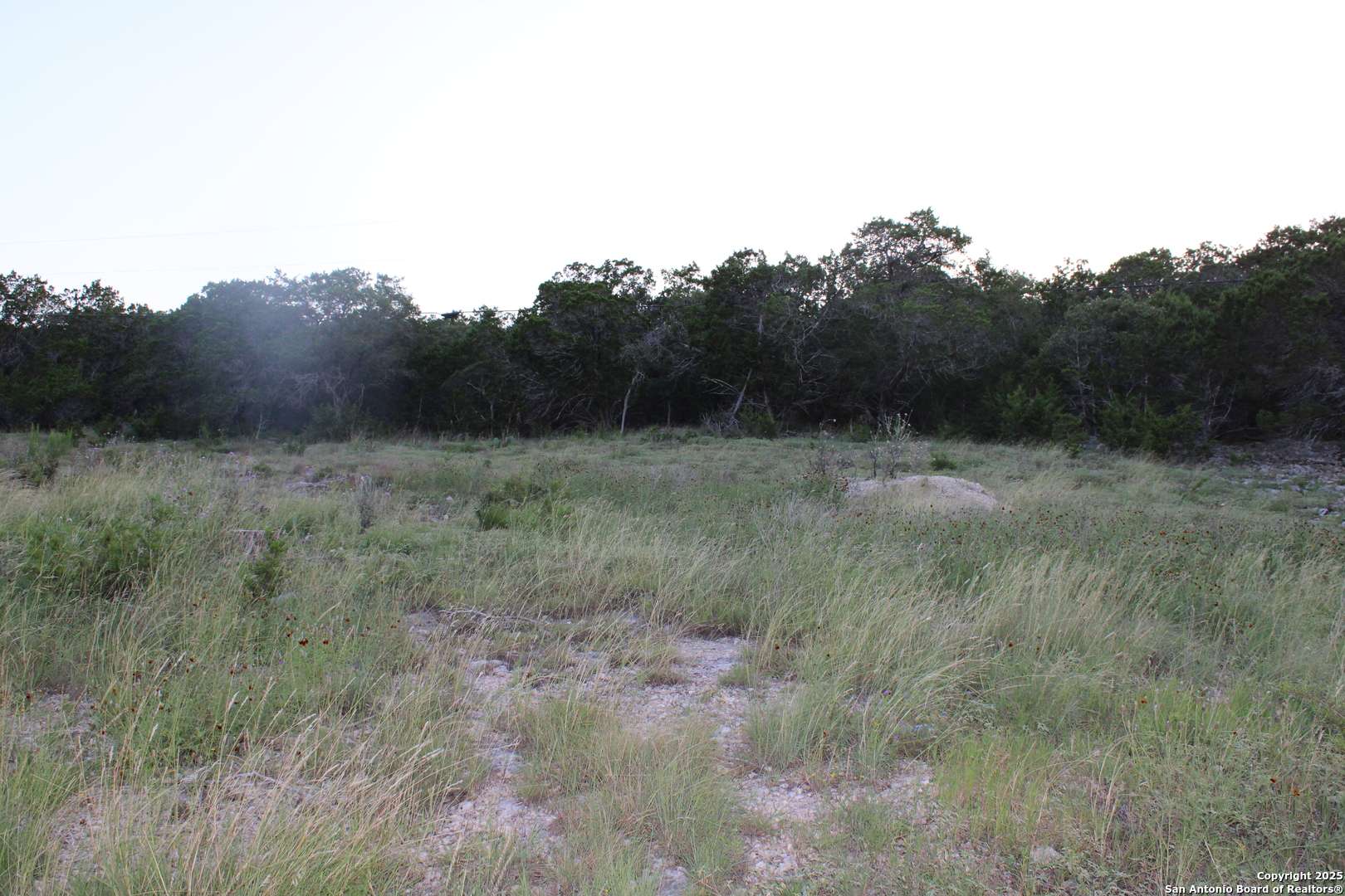 Canyon Lake, TX 78133,2041 Fuller Dr.
