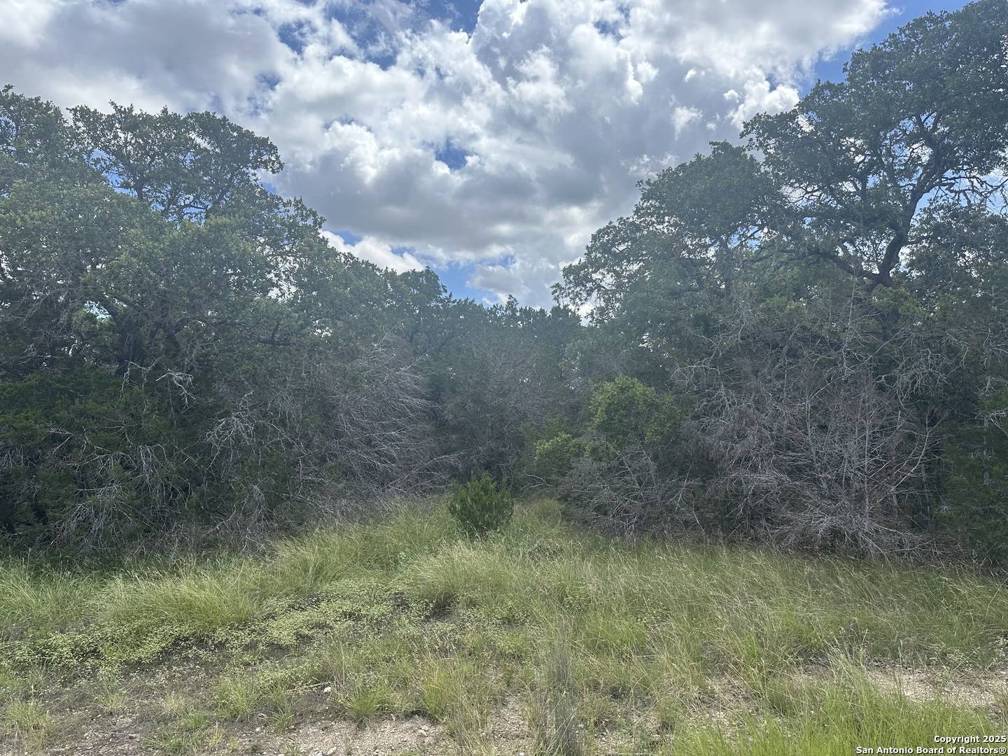 Spring Branch, TX 78070,275 Serenity Pass