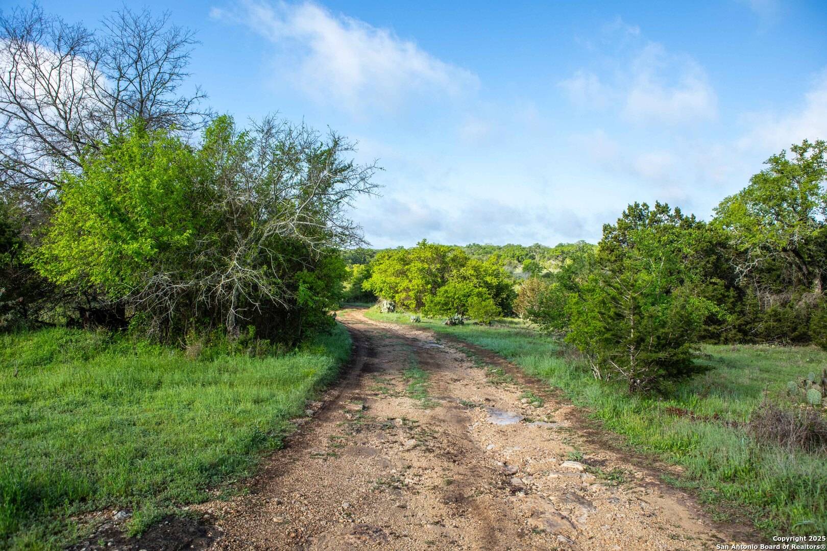 San Marcos, TX 78666,TBD Hilliard