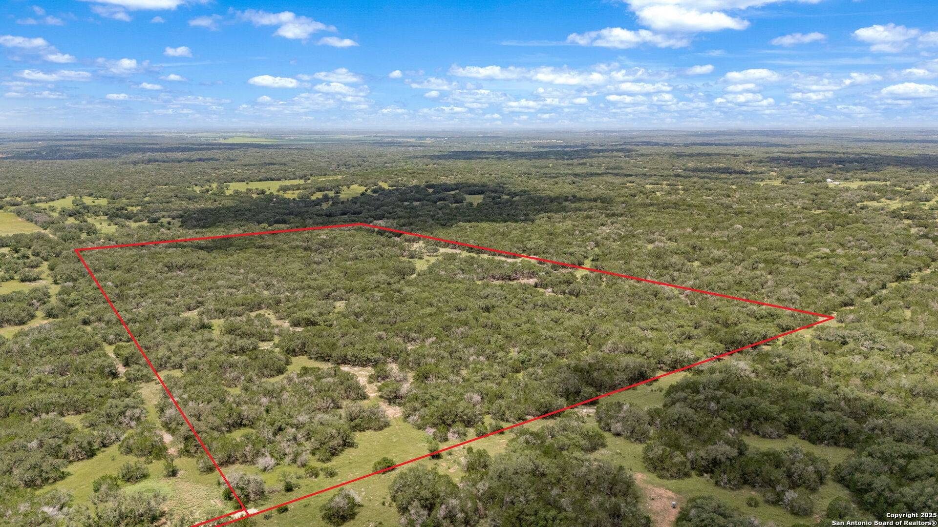 Hondo, TX 78861,4601 county road 251
