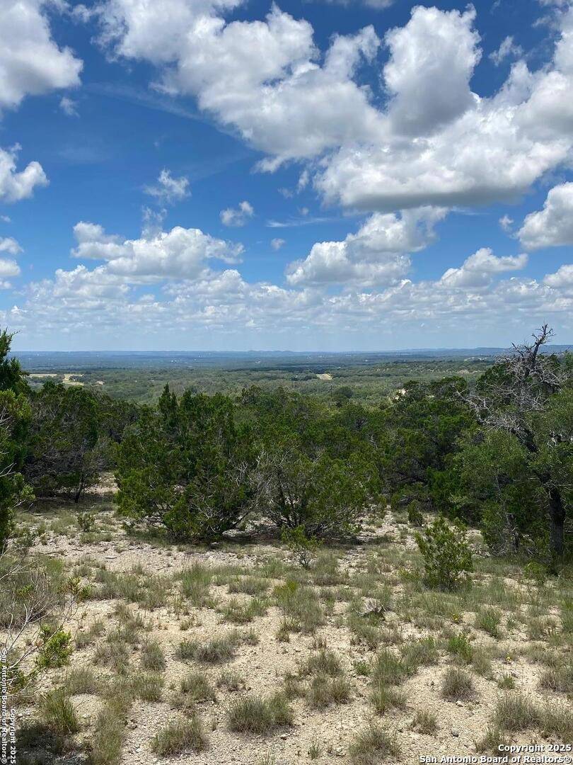 Boerne, TX 78006,73 Billings Forest