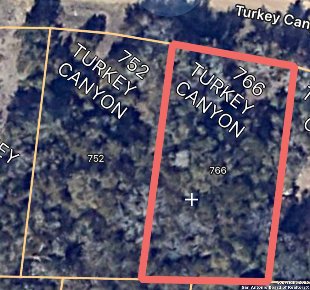 Spring Branch, TX 78070,766 turkey canyon