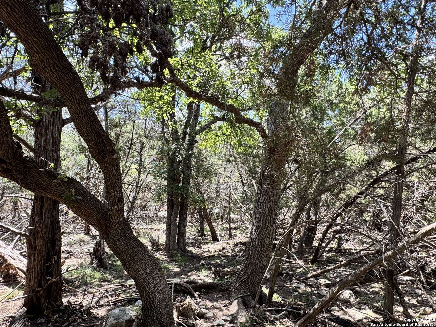 Spring Branch, TX 78070,1431 cedar grove