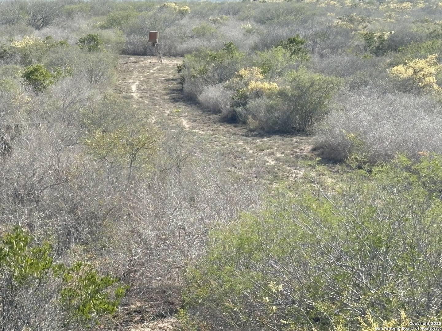 Freer, TX 78357,TR102 Frontier A Rd