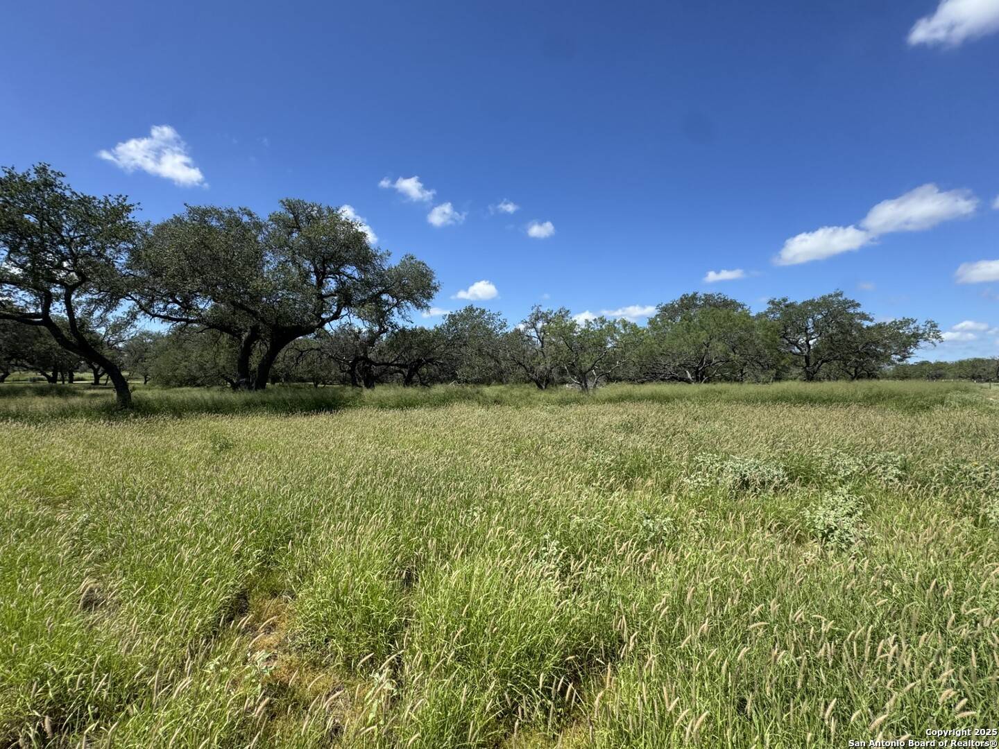 Bigfoot, TX 78005,4405 ST HWY 173