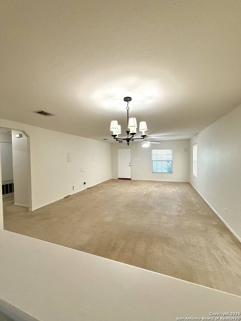 San Antonio, TX 78259,20419 Liatris