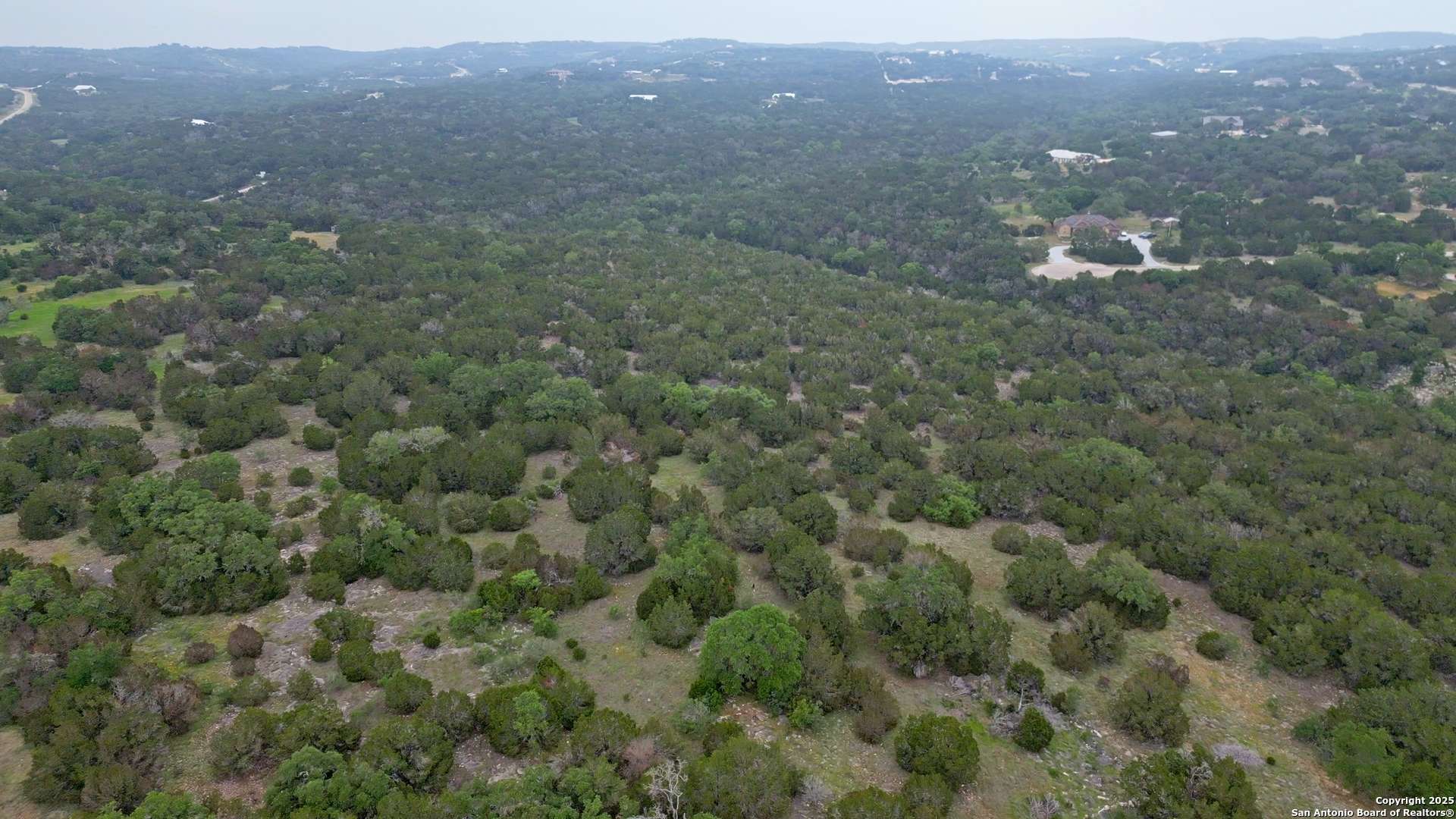 Spring Branch, TX 78070,431 Rosinweed