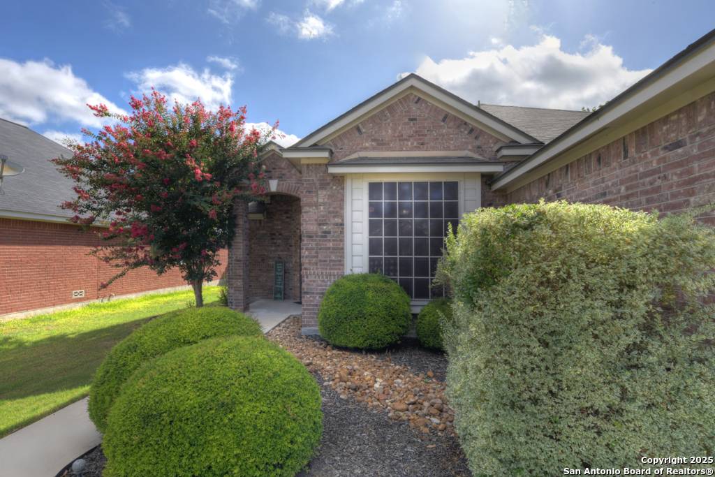 New Braunfels, TX 78130,2043 Belvedere
