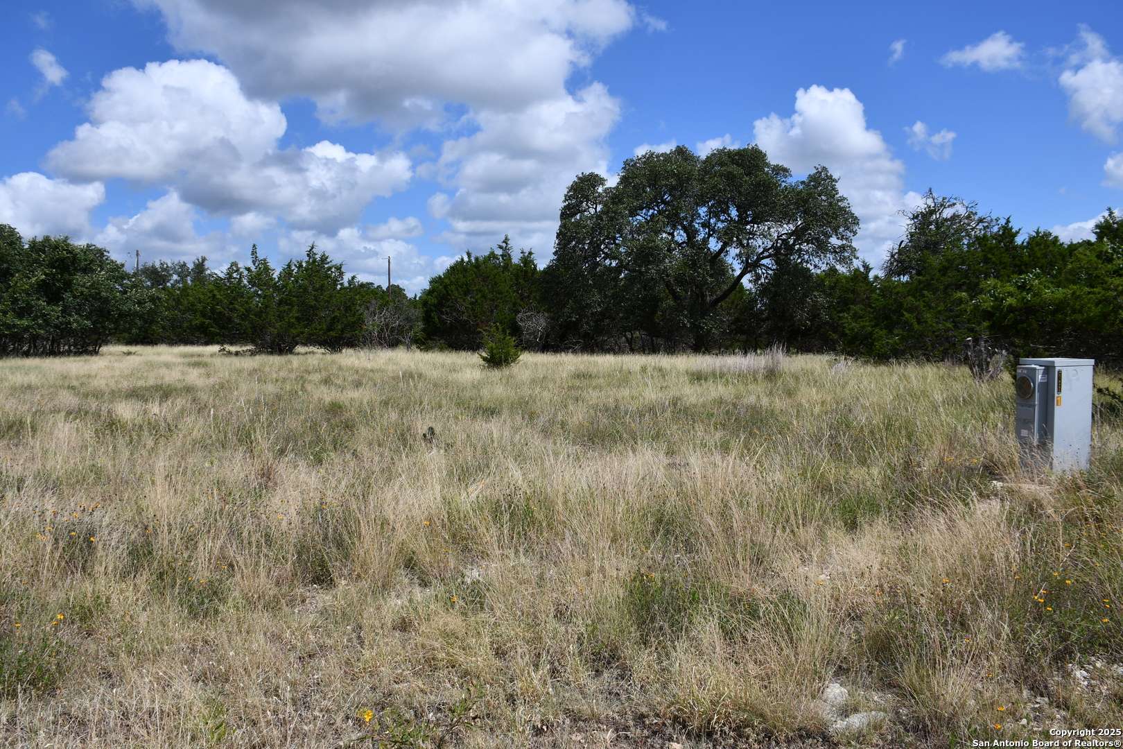 Blanco, TX 78606,107 SILAS PARKER