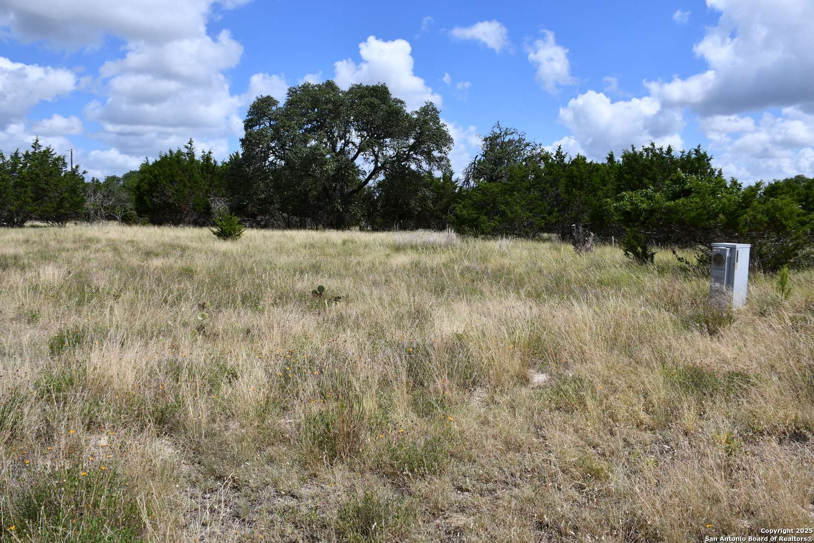 Blanco, TX 78606,107 SILAS PARKER