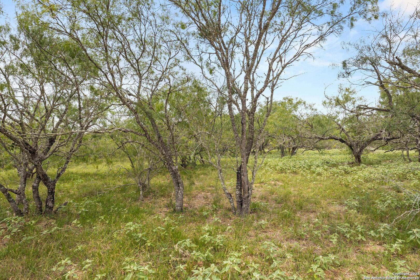 Seguin, TX 78155,11682 Fm 466