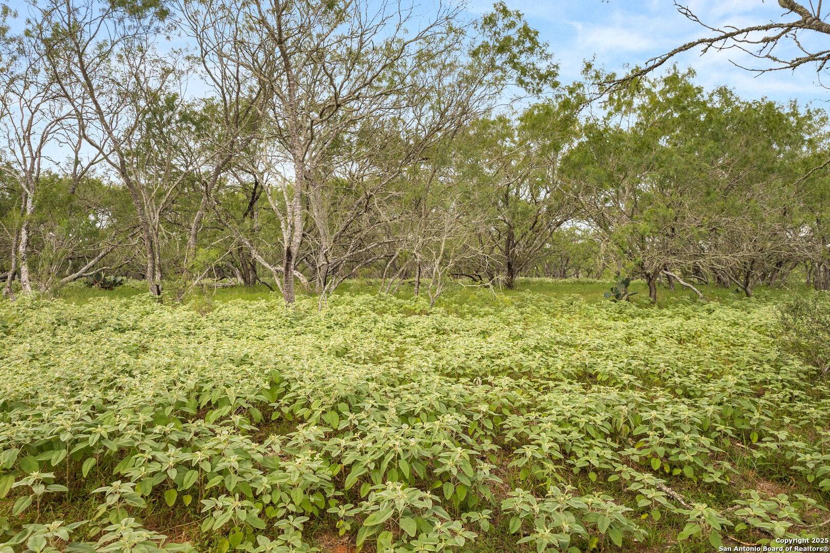 Seguin, TX 78155,11682 Fm 466