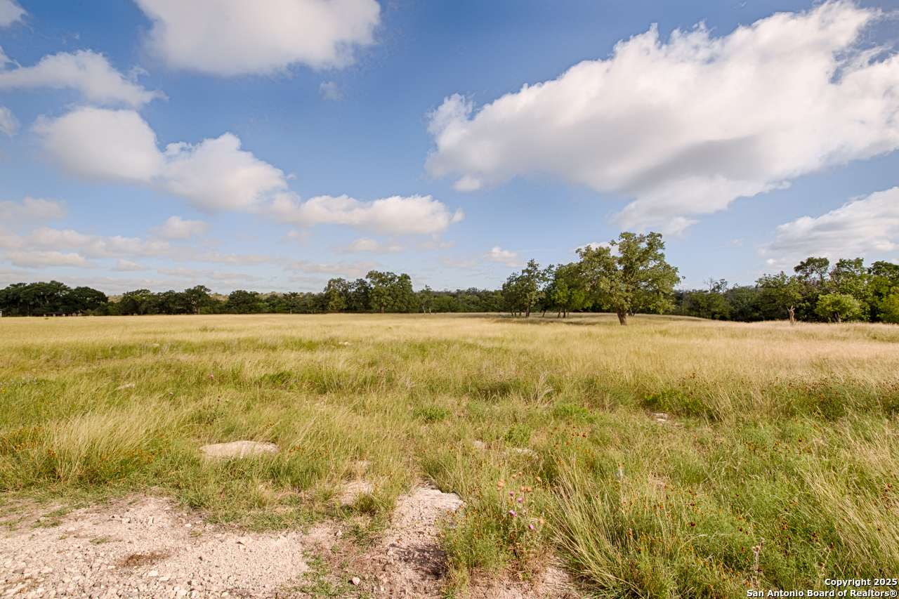 Harper, TX 78631,LOT 23 Goose Landing Way