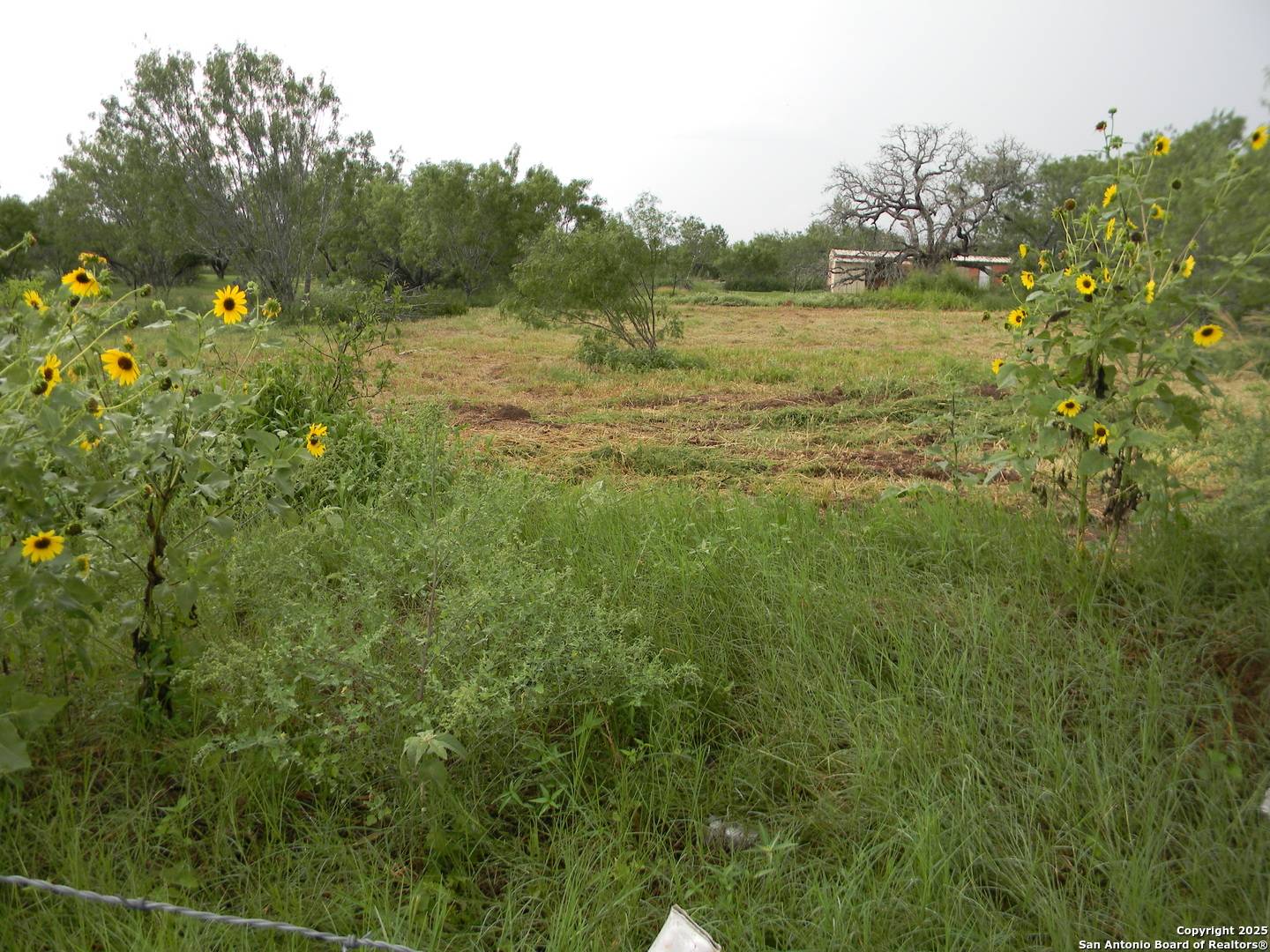 Pleasanton, TX 78064,459 cecilia